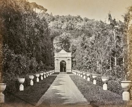 AVQ A 000439 AVQ A 000439