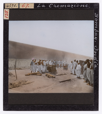 RGD S 000067 RGD S 000067