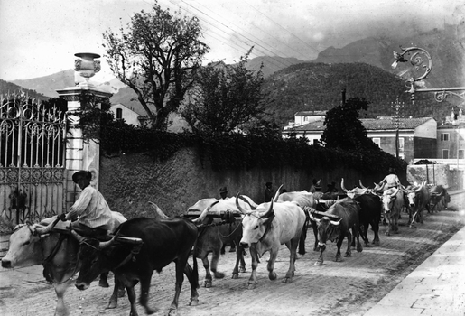 CAA F 000058 CAA F 000058