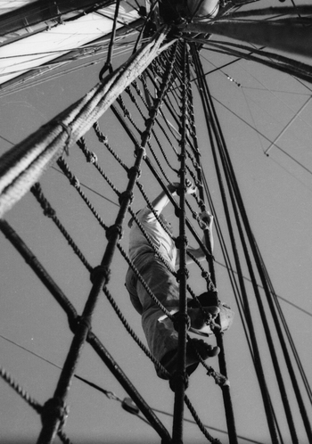 MFV S PAL100