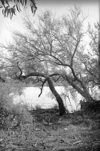 BVA S 000200 BVA S 000200