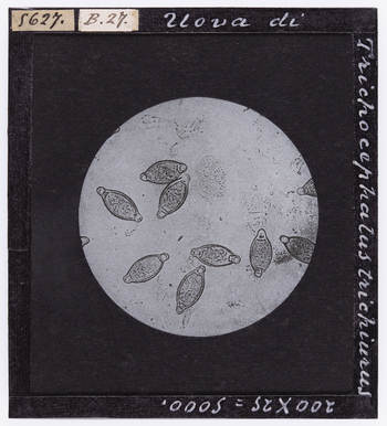 RGD S 000B27 RGD S 000B27