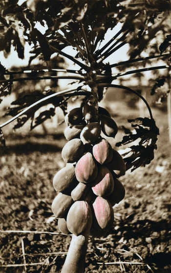 FCC A 000067 FCC A 000067