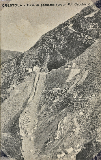 AVQ A 003494