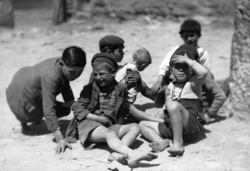 BVA S 000353 BVA S 000353