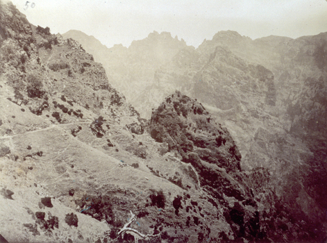 PDC S 003691 PDC S 003691