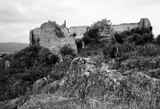 BEN F 009361