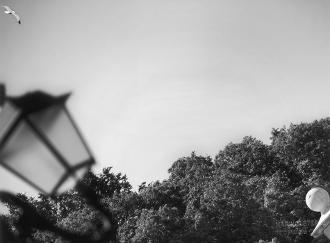 AVQ A 004985 AVQ A 004985