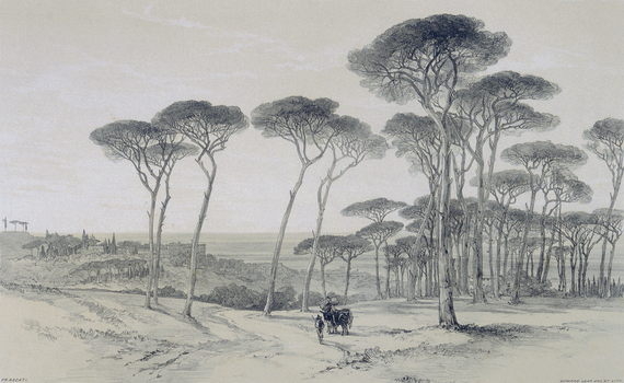 PDP A 00LEAR PDP A 00LEAR