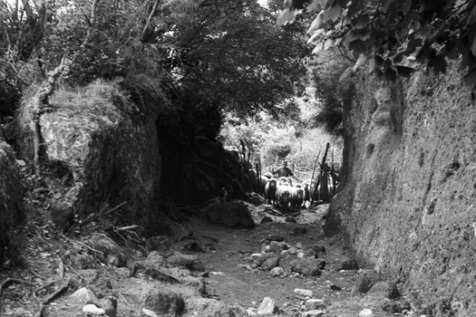 BEN F 009388