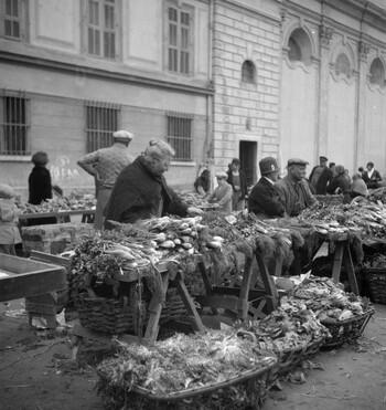 RVA S 034577 RVA S 034577