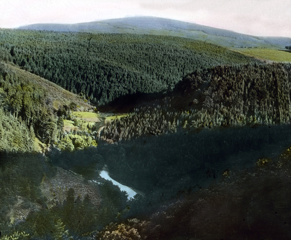 UIG F 030554