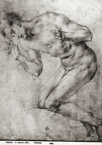 MAA F 006563