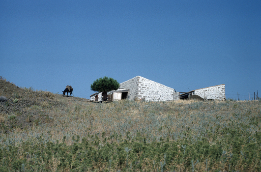 BEN F 013608