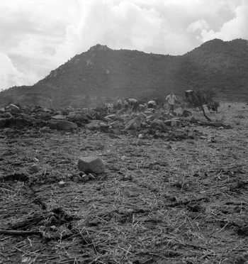 LAA F 000334