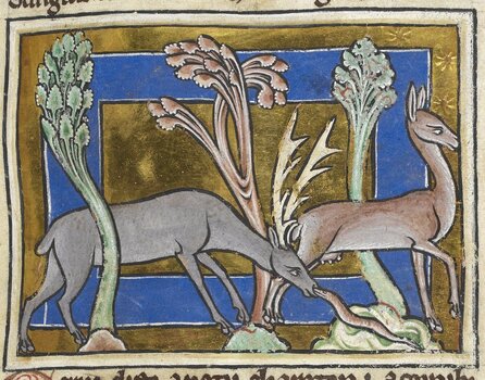 BLB S 2CXIXF BLB S 2CXIXF