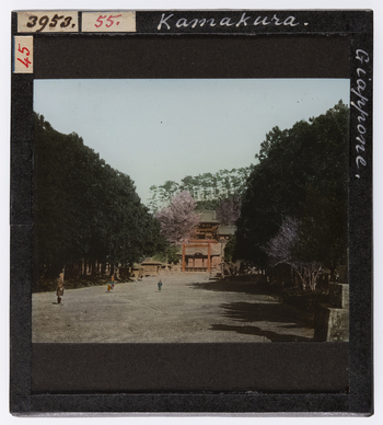 RGD S 000055 RGD S 000055