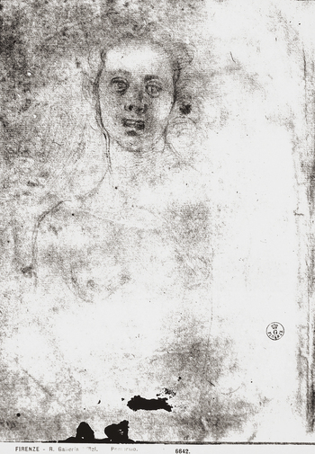 MAA F 006642