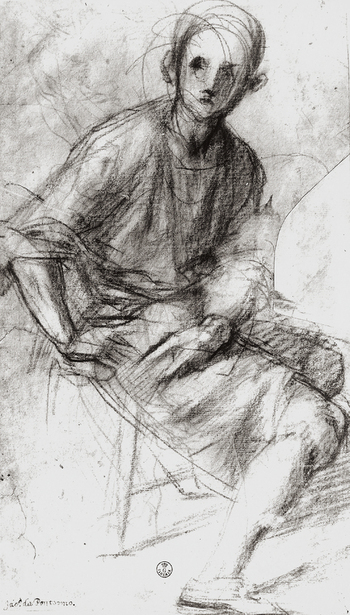 MAA F 006564