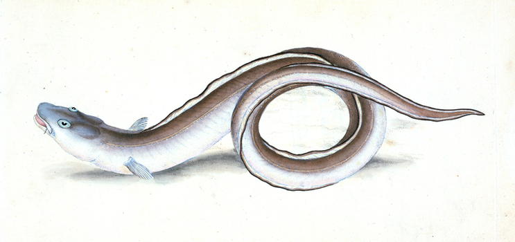 LCA F 000900