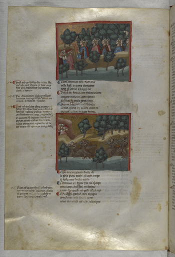 BLB S MS943F