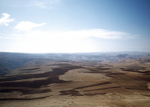 BEN F 006087