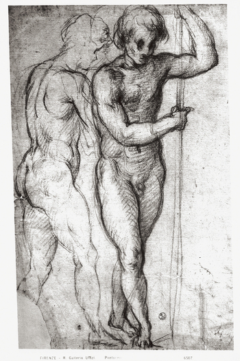 MAA F 006507