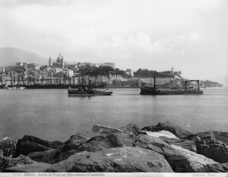 BGA F 008796