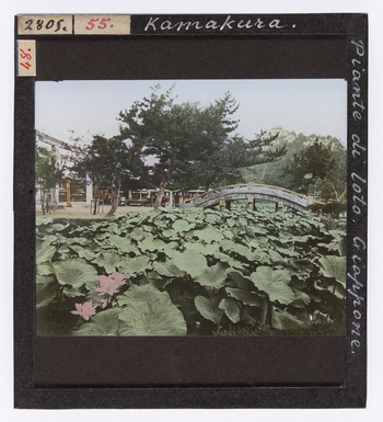 RGD S 000055 RGD S 000055