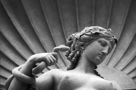 AVQ A 004985 AVQ A 004985