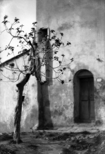 BVA S 000353 BVA S 000353