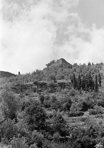 BEN F 009307