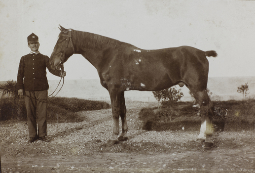 AVQ A 002548