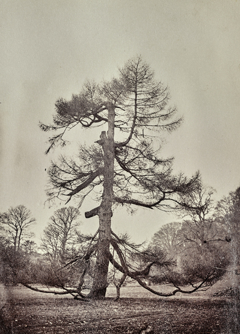 AVQ A 000992 AVQ A 000992