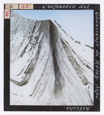 RGD S 000043 RGD S 000043