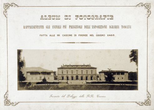 AVQ A 000993 AVQ A 000993