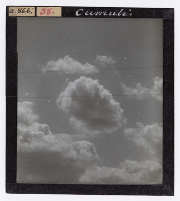 RGD S 000038 RGD S 000038