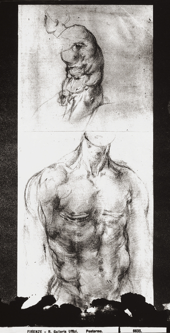 MAA F 006635