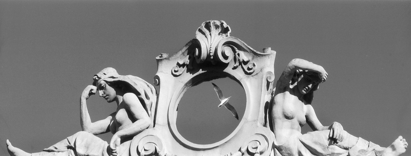 AVQ A 004985 AVQ A 004985