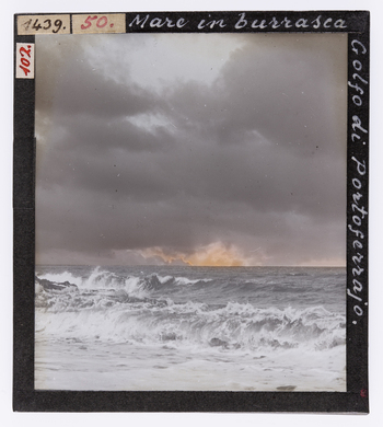 RGD S 000050 RGD S 000050