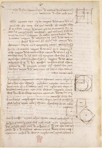 BLB F 018828