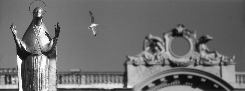 AVQ A 004985 AVQ A 004985