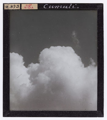 RGD S 000038 RGD S 000038