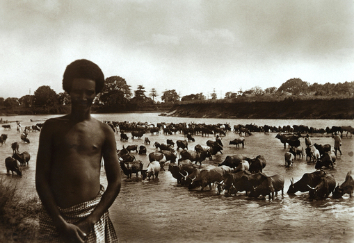 FCC A 000067 FCC A 000067