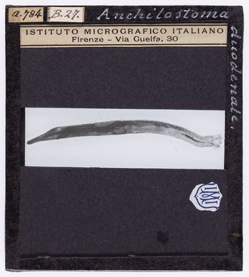 RGD S 000B27 RGD S 000B27