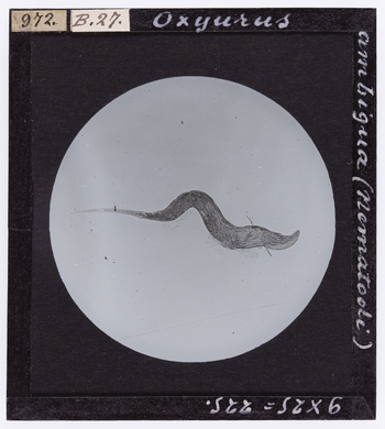 RGD S 000B27 RGD S 000B27