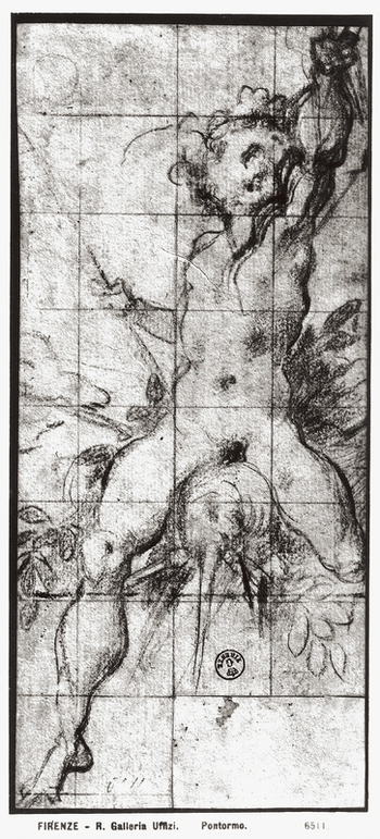 MAA F 006511