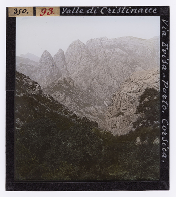 RGD S 000093 RGD S 000093