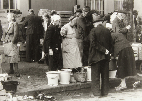 IMA F 639243 IMA F 639243