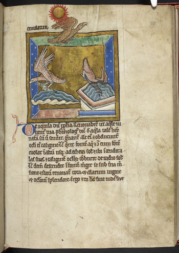 BLB S 2CXIXF BLB S 2CXIXF